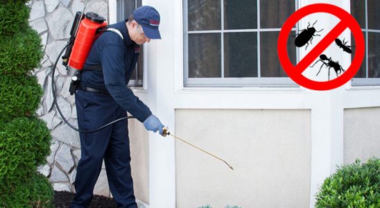 Pınarbaşı Kene İlaçlama böcek ilaçlama ve haşere kontrolü — ilaclama-tr.com